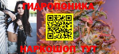 гидропоника Канаш