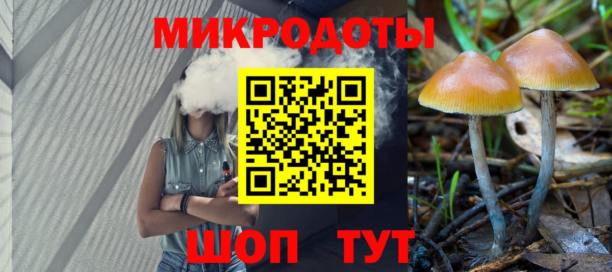 Лениногорск  Галлюциногенные грибы Psilocybe  наркотики  Вход с VPN 