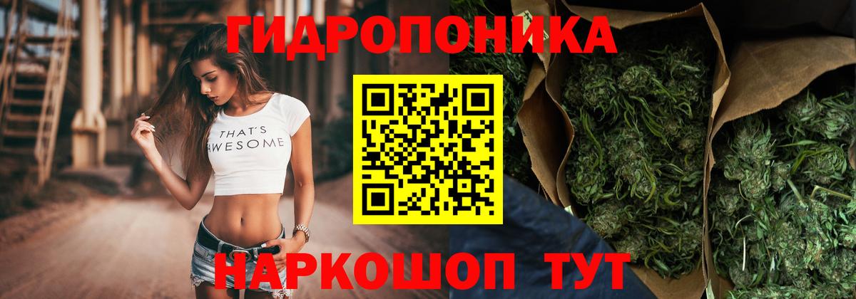 Конопля ГИДРОПОН Лениногорск
